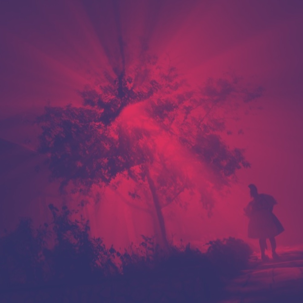 Meet your Posher, Daphne